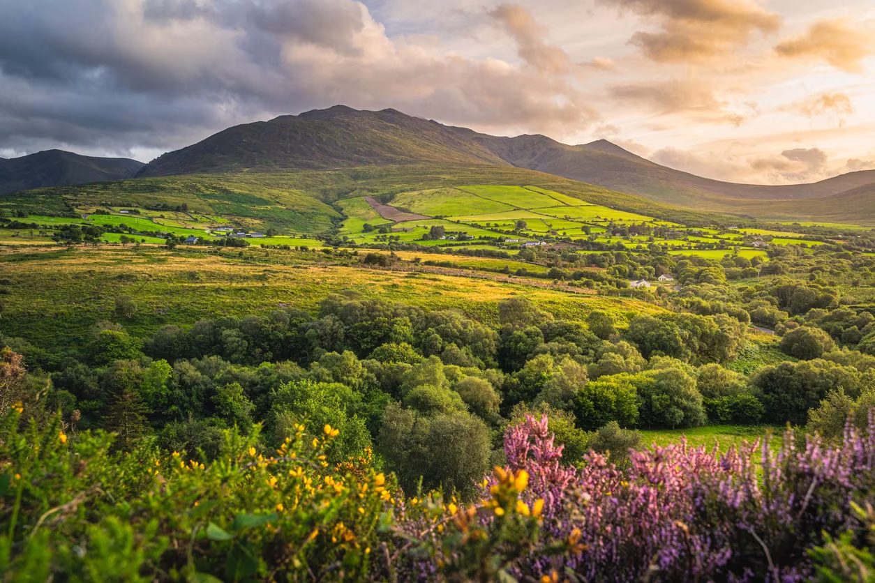 A green valley and mountain ridge beneath warm evening light.